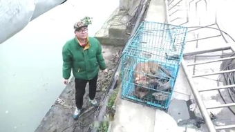 打捞拼音怎么念，打捞拼音怎么写的