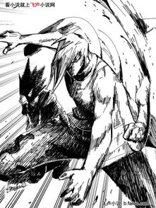 子目app官网，子目类似的交友软件