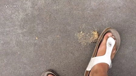 昆士兰大学qs排名，昆士兰科技大学世界排名