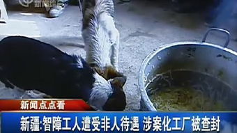 天涯明月刀捕快一天能缉拿多少次