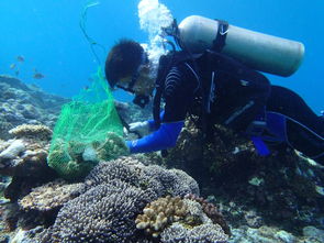 国防科技大学海洋技术专业，哈工大海洋技术专业