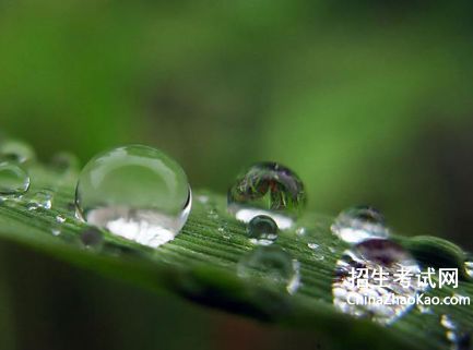 晶莹什么意思