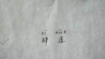 肆虐的拼音怎么读，肆掠和肆虐的拼音