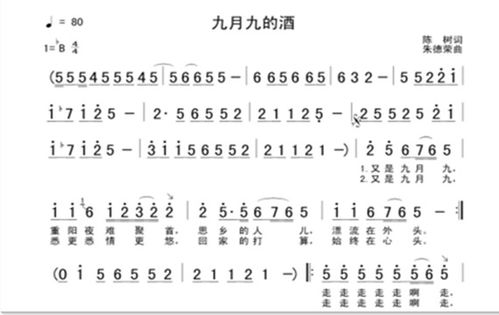 陈少华《九月九的酒》完整的歌词?