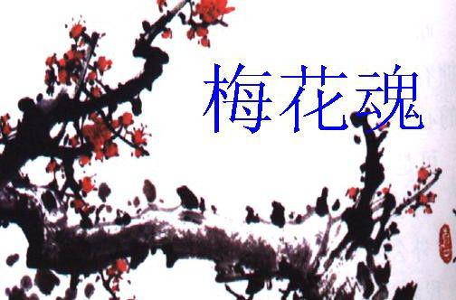梅花魂的写作背景20字，梅花魂的写作背景资料外祖父为什么不能回国