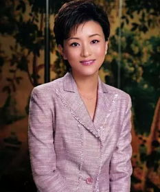 杨澜找钥匙来龙去脉?杨澜为什么叫钥匙主持