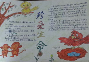 珍爱生命手抄报内容，珍爱生命手抄报一等奖