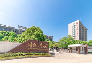 湖南大学四大王牌专业