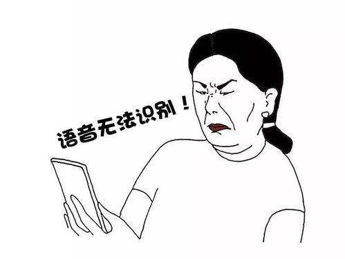 阿姨拼音怎么拼写声调，沪上阿姨拼音
