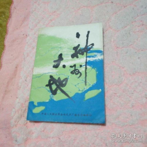 神州什么造句子