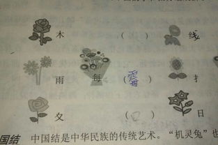 面的结构和部首是什么意思，面的结构和部首是什么字