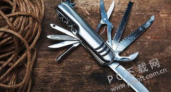knife是什么意思翻译，dualknife是什么意思