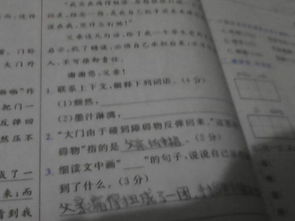 淋漓尽致的意思是