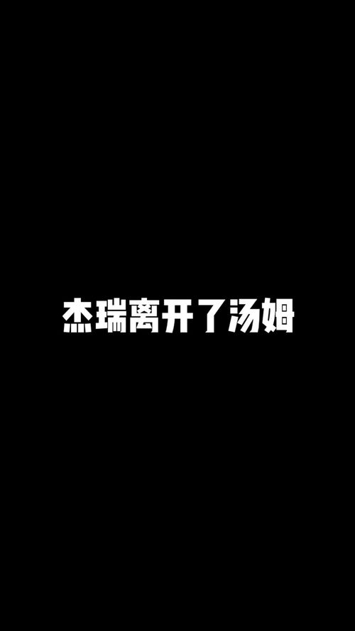总什么意思?近义词和反义词是什么?英文翻译是什么?