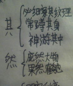 锵然的解释锵然的解释是什么