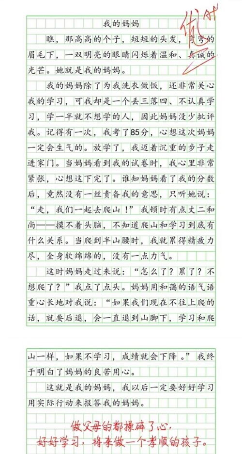 哎这样的我作文5篇
