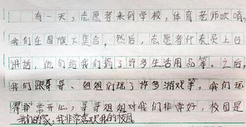 美丽的校园作文400字(精选6篇)