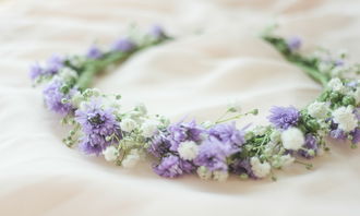 点缀的缀的组词和拼音，缀的组词和拼音和大写字母