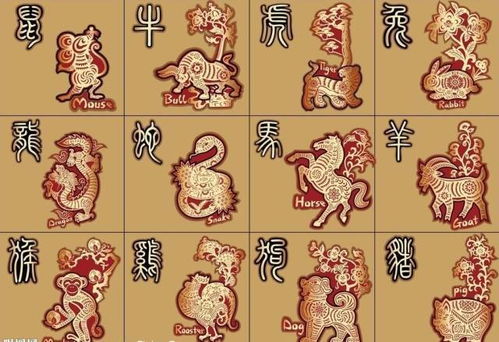 1984年出生的人属什么生肖