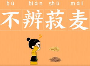 不辨菽麦的解释