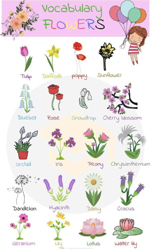 花的英语单词怎么写