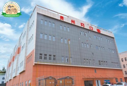 口客合起来读什么?