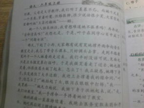 亲情的作文