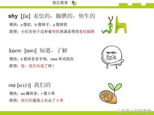 埋葬的意思 埋葬的意思是什么