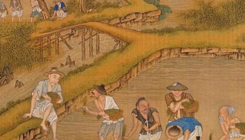 自给自足是什么意思