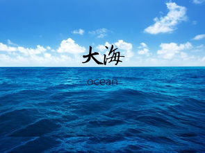 海洋的英文单词怎么写的