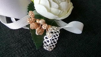 米粒之光,乃敢与皓月同辉什么意思