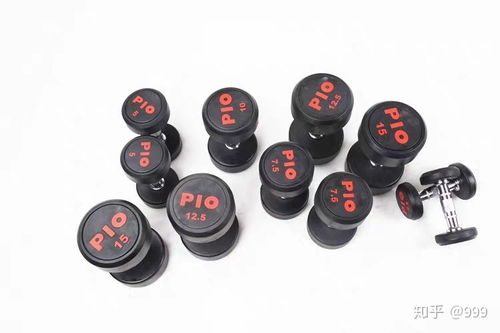 pio是什么意思中文，pioneer是什么意思