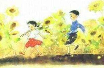 青铜葵花读后感500字，青铜葵花读后感100字