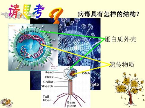 高一生物必修一知识点归纳有哪些?