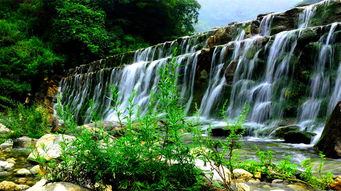 西安的气候怎么样