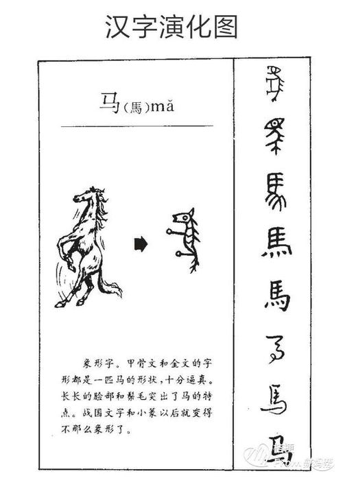 马笔顺组词，骑笔顺