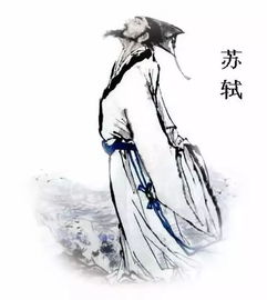苏东坡介绍