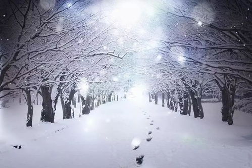 数九寒天下大雪曲谱，数九寒天下大雪郭兰英
