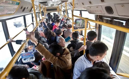 公交车上的那些事500字，公交车上的那些事,作文300字左右