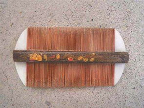 篦子是什么
