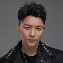 严少龄和严少辰是什么关系