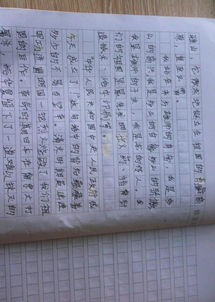 爱国作文600字