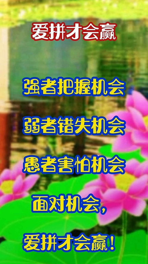 拓展训练队名口号以及队歌
