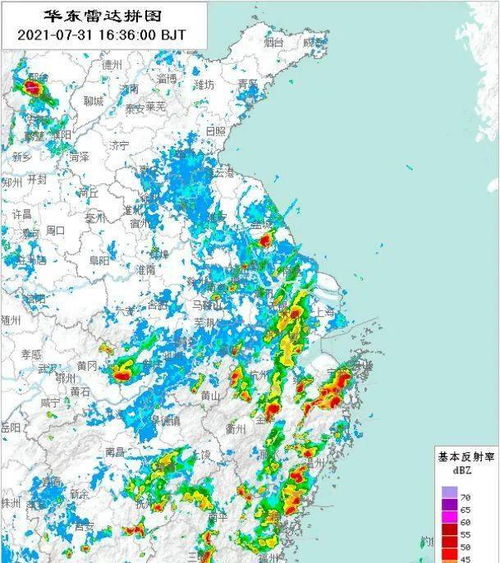 2022年3月1号上海市,金山区天气预报是?