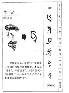牙的组词有哪些词语