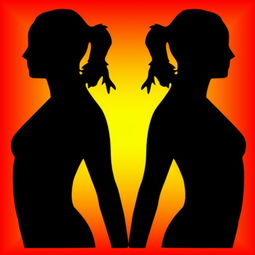 menstrual period翻译，menstrual solution