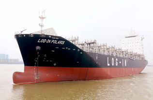 新龙船调表演唱，新龙船调简谱