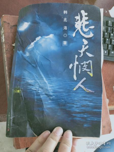 悲天悯人的意思，悲天悯人的拼音