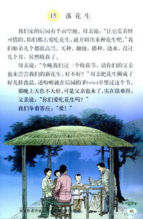 部编版落花生课文原文