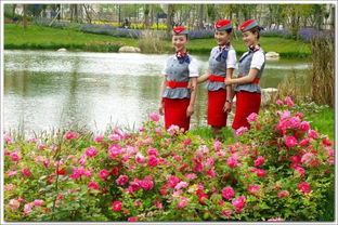 簇拥的意思解释词语，我是用什么方法理解簇拥的意思